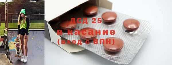 стаф Алзамай