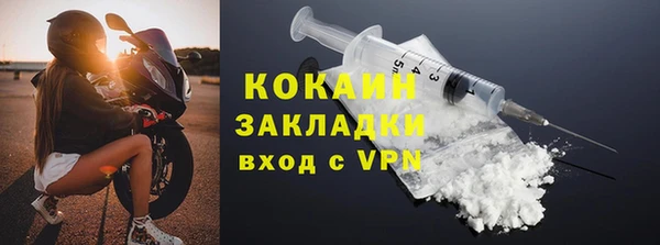 стаф Алзамай